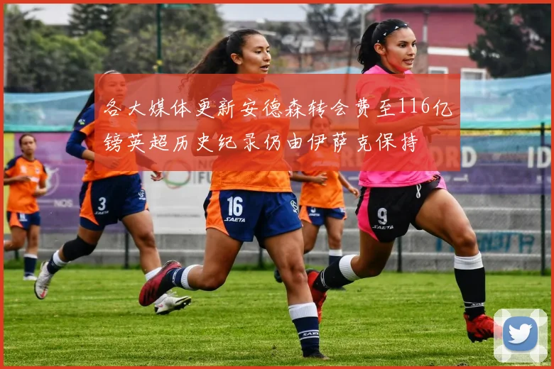 各大媒体更新安德森转会费至116亿镑英超历史纪录仍由伊萨克保持