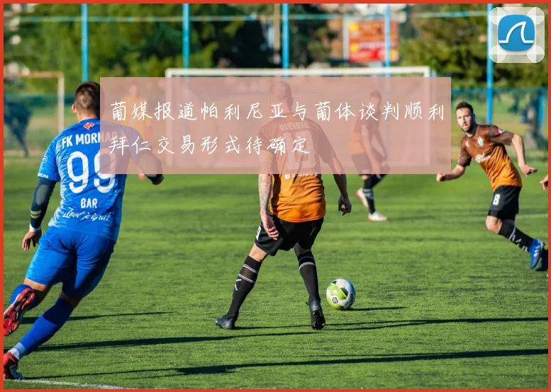 葡媒报道帕利尼亚与葡体谈判顺利拜仁交易形式待确定
